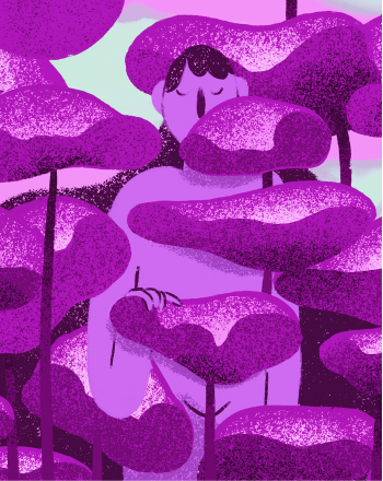 Usufruit - Cassis  33cl