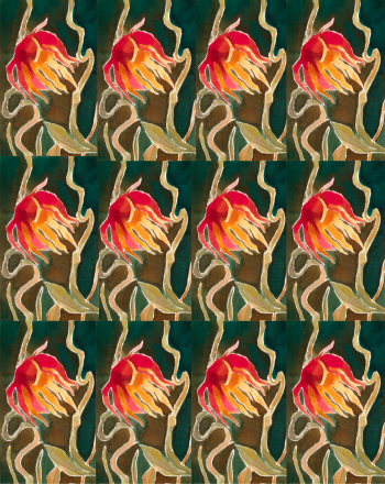 12 Petit Ballot 33cl