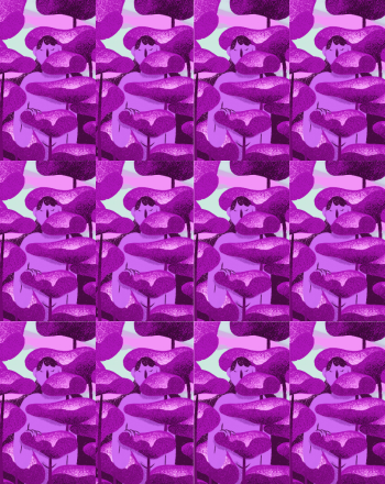 12 Usufruit - Cassis 33cl