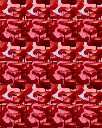 12 Usufruit Framboise 33cl