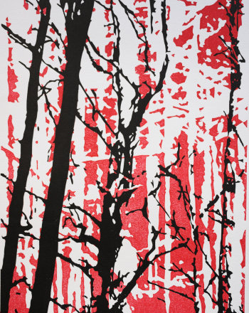 Touche du Bois "Cerise" - Stout 33cl