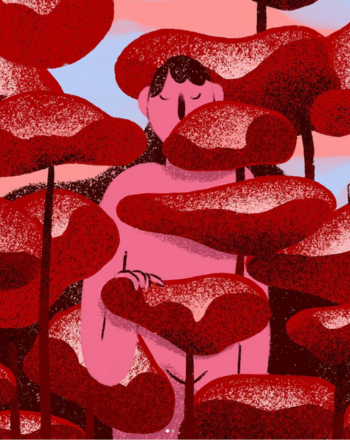 Usufruit Framboise 75cl