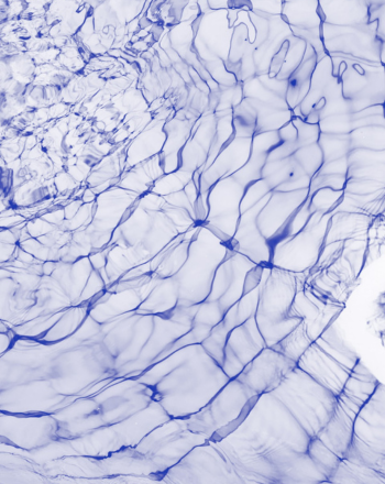 Turbulence - Neipa   33cl